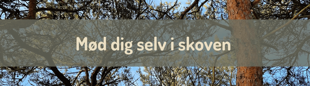 Mød dig selv i skoven